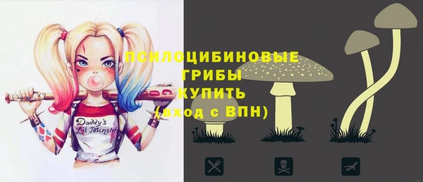 ПСИЛОЦИБИНОВЫЕ ГРИБЫ Липки