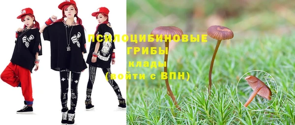 прущая мука Лабытнанги