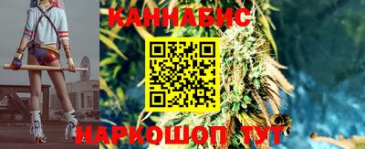 дмт Будённовск