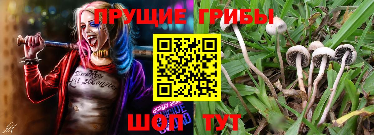 Галлюциногенные грибы мухоморы  Егорьевск  Галлюциногенные грибы прущие грибы 