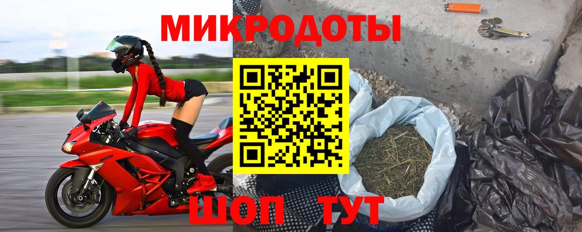 Галлюциногенные грибы Psilocybe Егорьевск