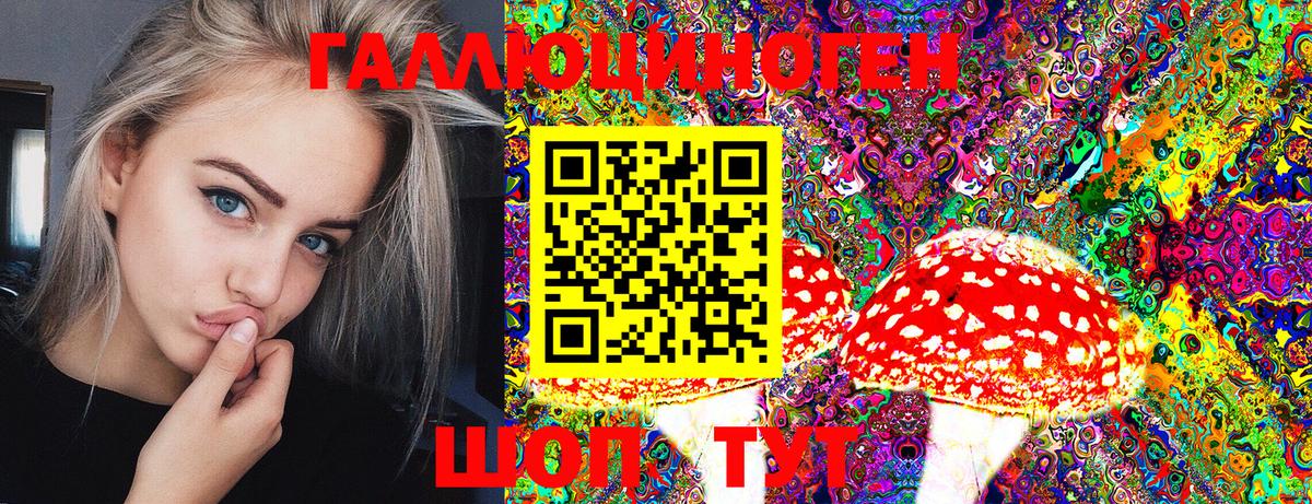 Псилоцибиновые грибы MAGIC MUSHROOMS Егорьевск