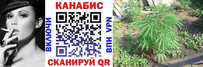 Канабис AK-47  цена наркотик  Егорьевск 